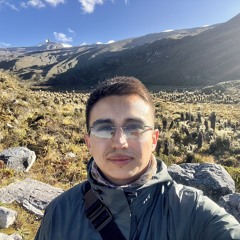 Andrés F. Velandia