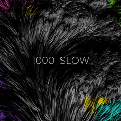 1000_SLOW