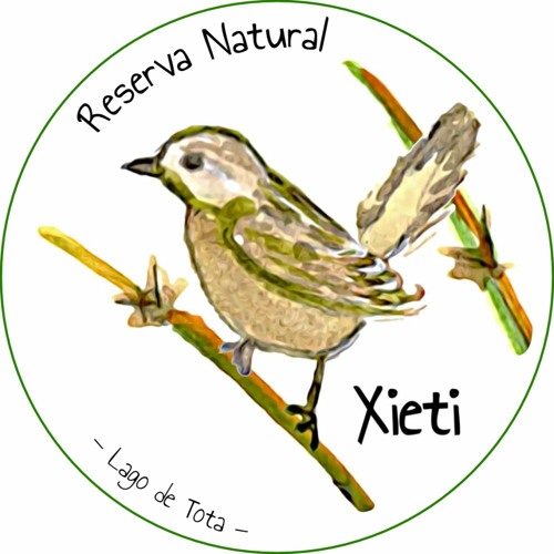 Xieti — Reserva Natural’s avatar