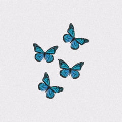 💙✧·˚⌖. ꙳