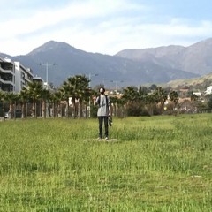 Pisano
