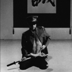 yungv4rg