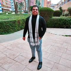 Mohanad Youssef