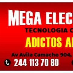 Megaelectronics
