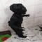 burningbathtub 2