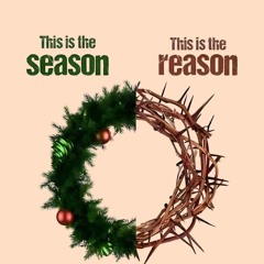 Arbaz Trebor ngawan.