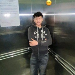 AXNO V1