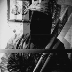 209SINS