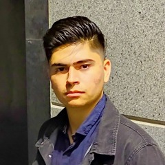 sayed ramin