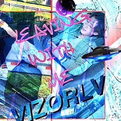 lilvizor