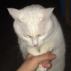 りんkko☆