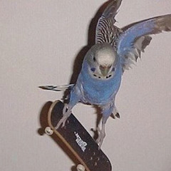 Cayenn kokan gang