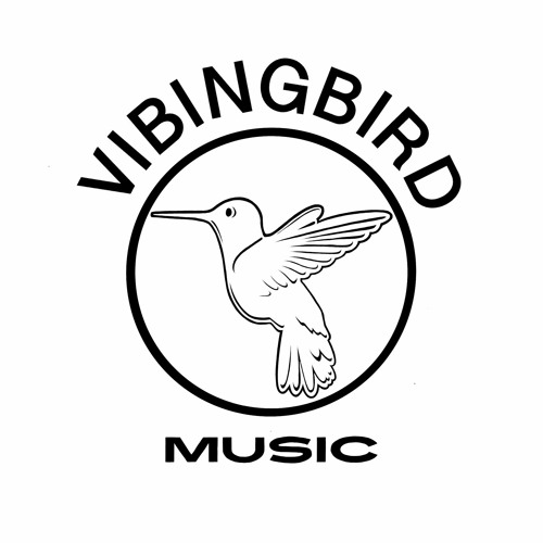 VIBINGBIRD MUSIC’s avatar