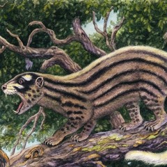 Feiquan