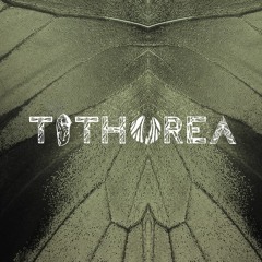 Tithorea