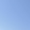 た