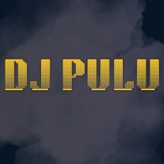 DJ PULU