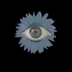 silver eye