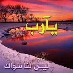 محمد الوزير الوزير