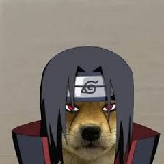 dog itachi