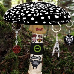 MyxoMop_жжёт 🤘🏿🤘🏿🤘🏿