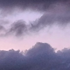 Dirt Lane Cocktail Party