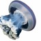 jellyverse