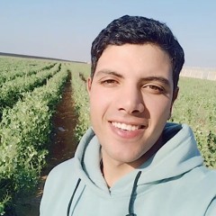 ahmed karkora