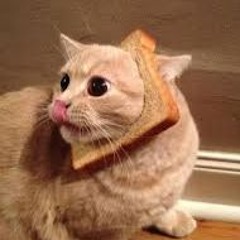 MrWaffles46