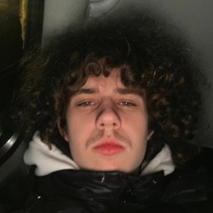 VilZ