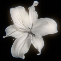 13-may