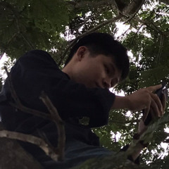 Mãnh Long