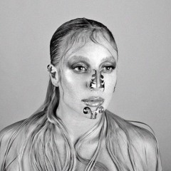 Nova Zef