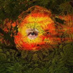 Jimmi-Woods