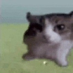 SKI