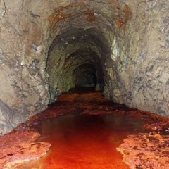 $aint Xoemyr of Hy Brasil