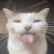 aldin