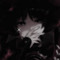 Solreon_