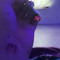 Motionman_M3
