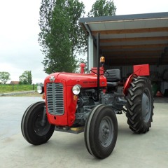 seppe dieryck