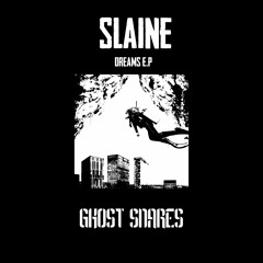 Slaine.dnb