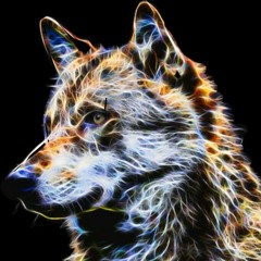 Stream ice-fire wolf music  Listen to songs, albums, playlists for free on  SoundCloud