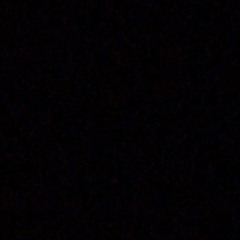 TopUnreleasedMusic😂🔥