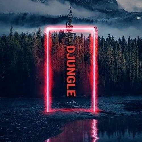 DJ DJUNGLE’s avatar
