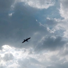 أسْـمَـاء 🦋