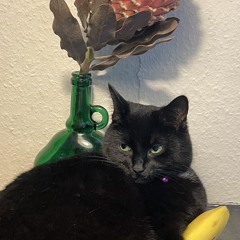 Loretta Romaniutaite