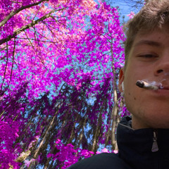 dømę_37