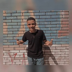 Ahmed Ayman Shafei