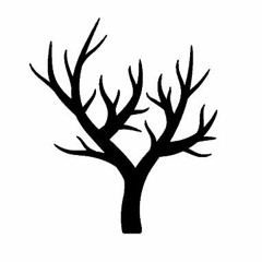 GeiloBaumi