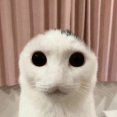 mc_mole